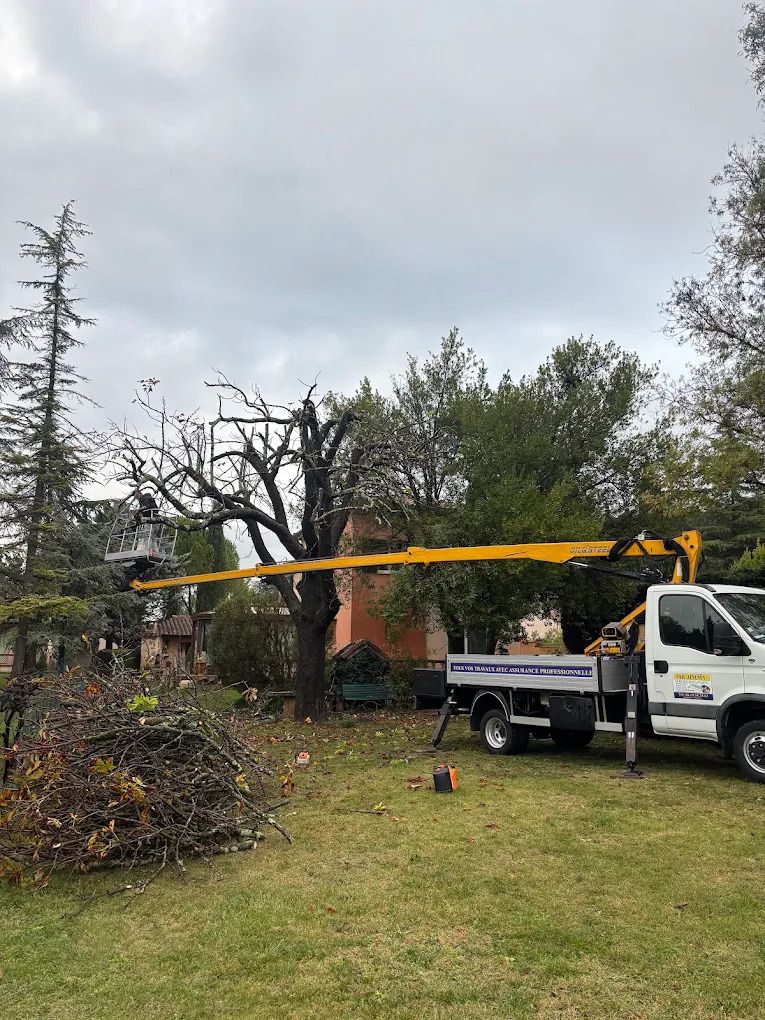 Élagage en nacelle d'un arbre mort dans un jardin
